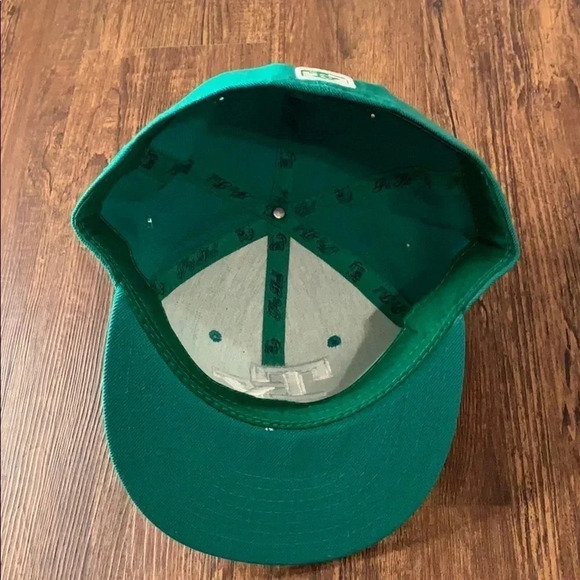 🚗2 for $20 Pit Bull Texas Fitted Baseball Cap Green New - Picture 6 of 10